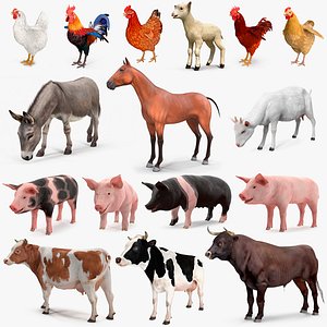 3D Farm Animals Big Collection 4