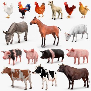 Farm Animals Big Collection 4