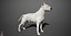 Bull Terrier Real-Time