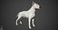 Bull Terrier Real-Time