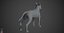 Bull Terrier Real-Time