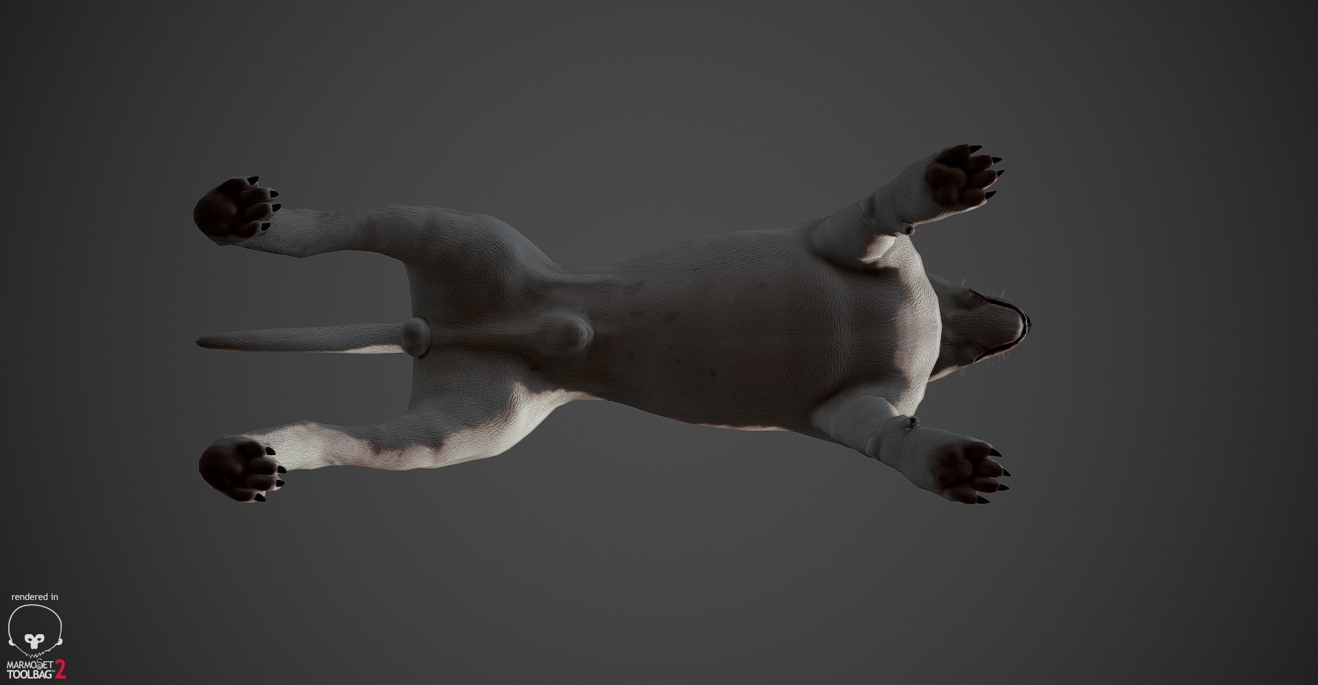 bull terrier real-time real time 3d model https://p.turbosquid.com/ts-thumb/Wd/3Yk1oB/GtGYJRto/bullterrier_marmoset_013/jpg/1470401184/1920x1080/fit_q87/b90e565e50beee6744ddc79b6961edf3304e0880/bullterrier_marmoset_013.jpg