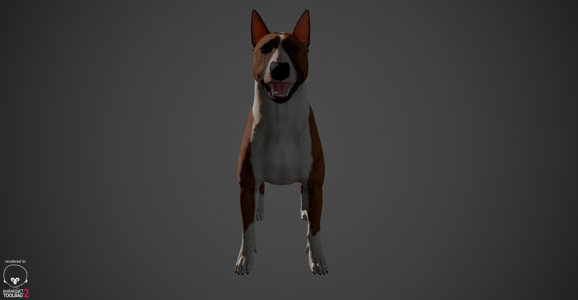bull terrier real-time real time 3d model https://p.turbosquid.com/ts-thumb/Wd/3Yk1oB/Jy9905no/bullterrier_marmoset_017/jpg/1470401185/1920x1080/fit_q87/331d69775a99cef3b0f4942355702abaebd8b716/bullterrier_marmoset_017.jpg