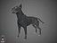 Bull Terrier Real-Time