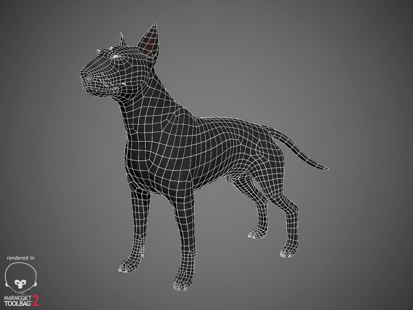 bull terrier real-time real time 3d model https://p.turbosquid.com/ts-thumb/Wd/3Yk1oB/LwqkzMR3/bullterrier_wireframe/jpg/1470496137/1920x1080/turn_fit_q99/6820a14dd950376a93ccb6f3d553d6bb27243623/bullterrier_wireframe-1.jpg