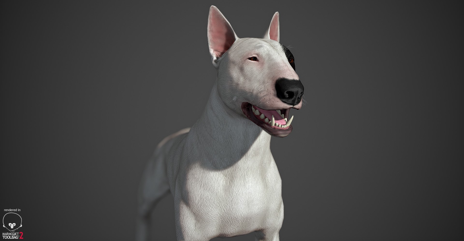bull terrier real-time real time 3d model https://p.turbosquid.com/ts-thumb/Wd/3Yk1oB/N0v0P4m9/bullterrier_marmoset_014/jpg/1470401184/1920x1080/fit_q87/2cfe4d2afe36707e0ea7ec54e03c1ee67e2ef843/bullterrier_marmoset_014.jpg