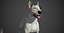 Bull Terrier Real-Time