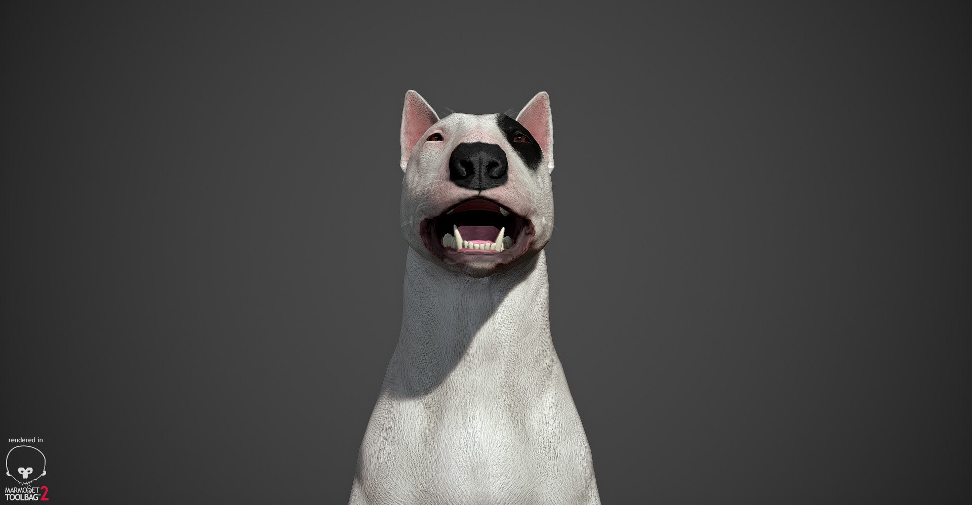 bull terrier real-time real time 3d model https://p.turbosquid.com/ts-thumb/Wd/3Yk1oB/T94uzR1B/bullterrier_marmoset_015/jpg/1470401185/1920x1080/fit_q87/d2c7bf908dc44591789777489ff105fb43bf04c3/bullterrier_marmoset_015.jpg