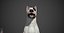 Bull Terrier Real-Time