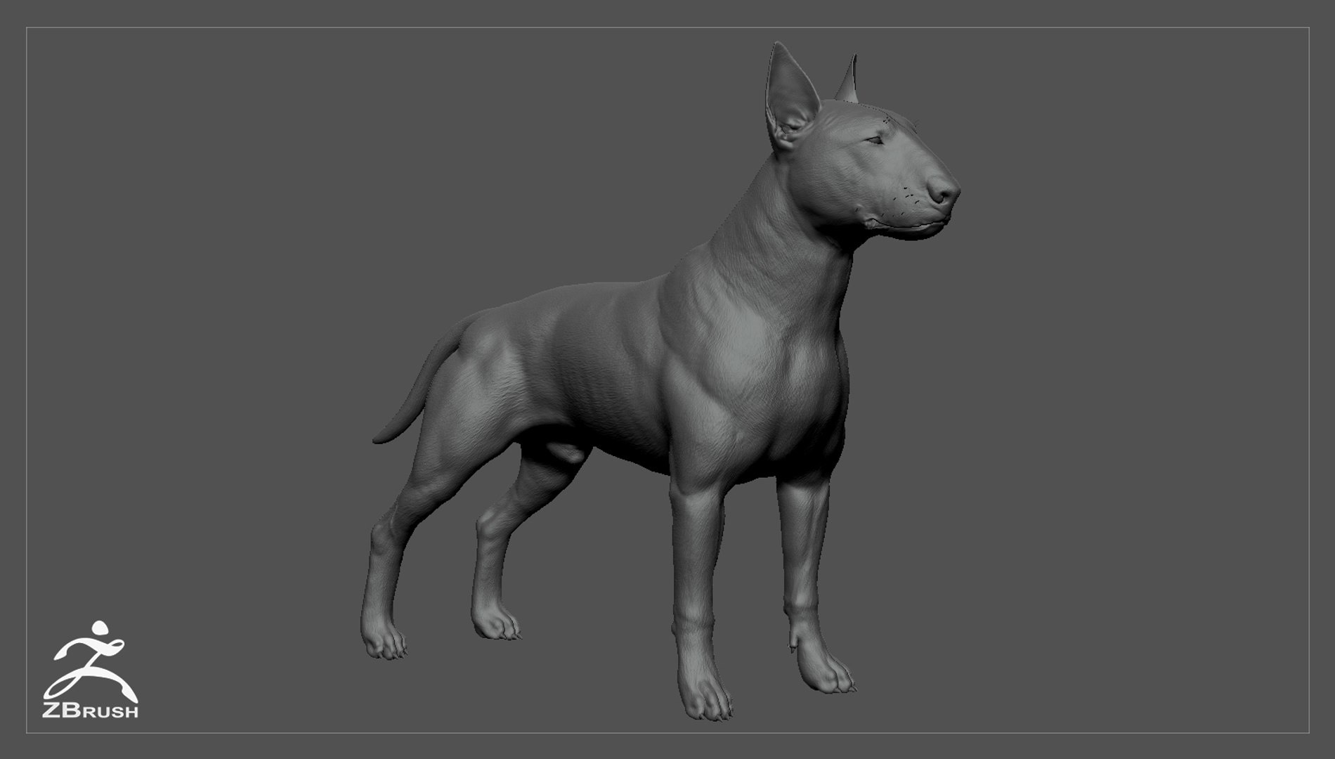 bull terrier real-time real time 3d model https://p.turbosquid.com/ts-thumb/Wd/3Yk1oB/UfTt7tbh/bullterrier_zbrush_01/jpg/1470401579/1920x1080/fit_q87/dee35e4826eb21151049399971ce97593e6a6585/bullterrier_zbrush_01.jpg