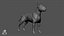 Bull Terrier Real-Time
