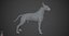 Bull Terrier Real-Time