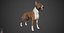 Bull Terrier Real-Time