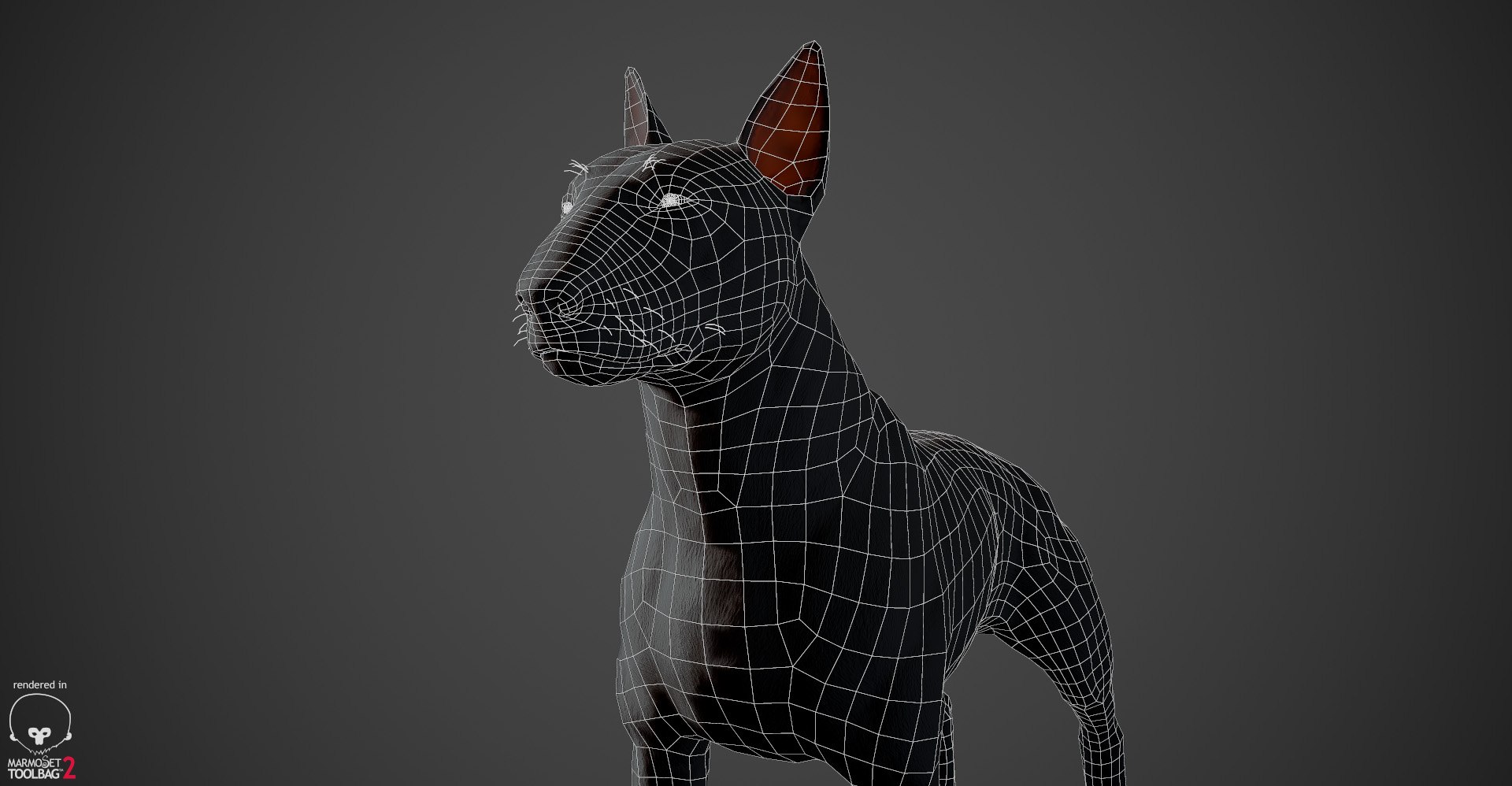 bull terrier real-time real time 3d model https://p.turbosquid.com/ts-thumb/Wd/3Yk1oB/X8kGJtQX/bullterrier_wireframe_04/jpg/1470401552/1920x1080/fit_q87/8558b9468474a9092743ff33da7056c40f35495e/bullterrier_wireframe_04.jpg