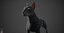 Bull Terrier Real-Time