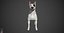 Bull Terrier Real-Time