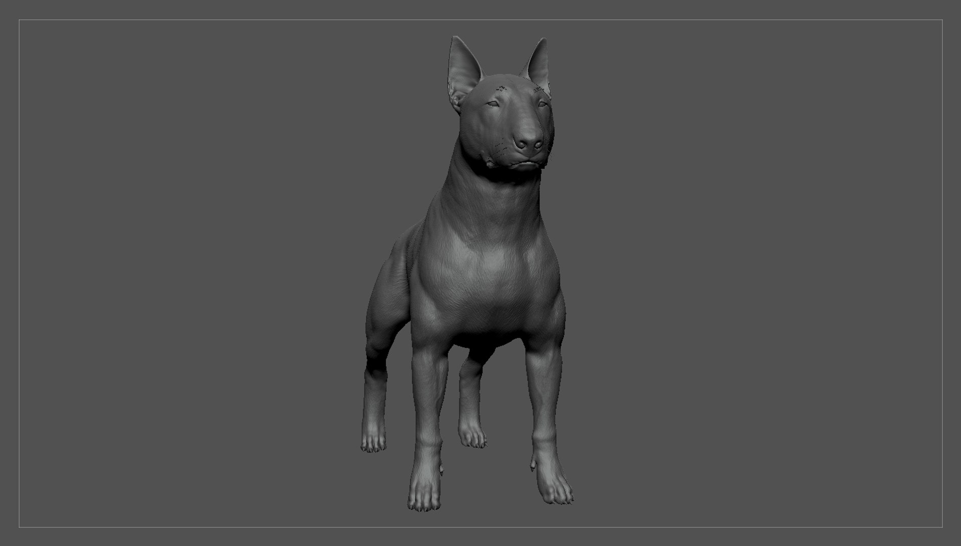 bull terrier real-time real time 3d model https://p.turbosquid.com/ts-thumb/Wd/3Yk1oB/YWKBZFKI/bullterrier_zbrush_02/jpg/1470401579/1920x1080/fit_q87/735645288b8c9dba22c5344b576b569ac559008e/bullterrier_zbrush_02.jpg