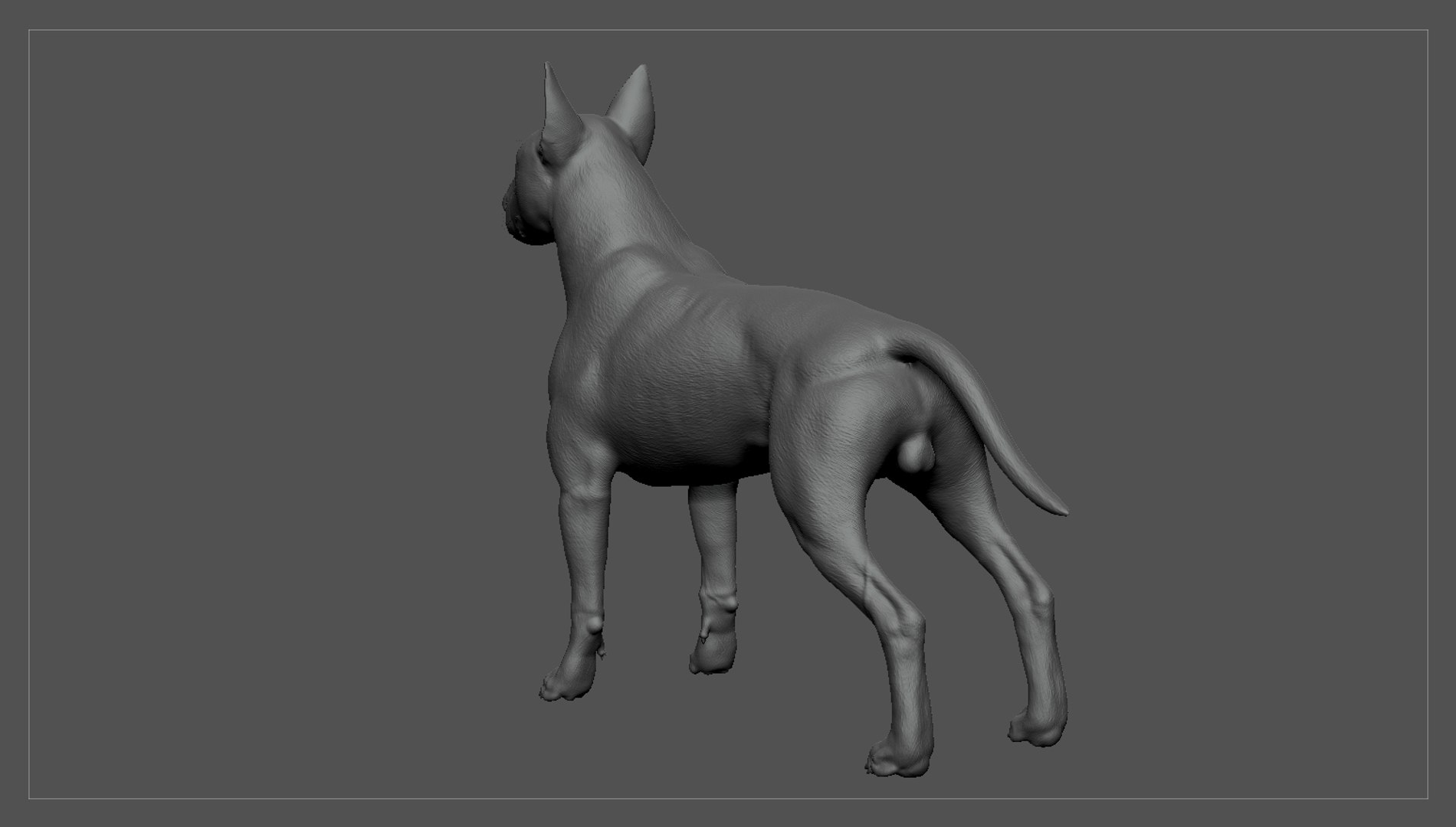 bull terrier real-time real time 3d model https://p.turbosquid.com/ts-thumb/Wd/3Yk1oB/eBQVNUqz/bullterrier_zbrush_05/jpg/1470401579/1920x1080/fit_q87/eb435b95da94d77d102852886f1fa89e03c6b32d/bullterrier_zbrush_05.jpg