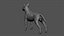 Bull Terrier Real-Time