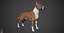 Bull Terrier Real-Time