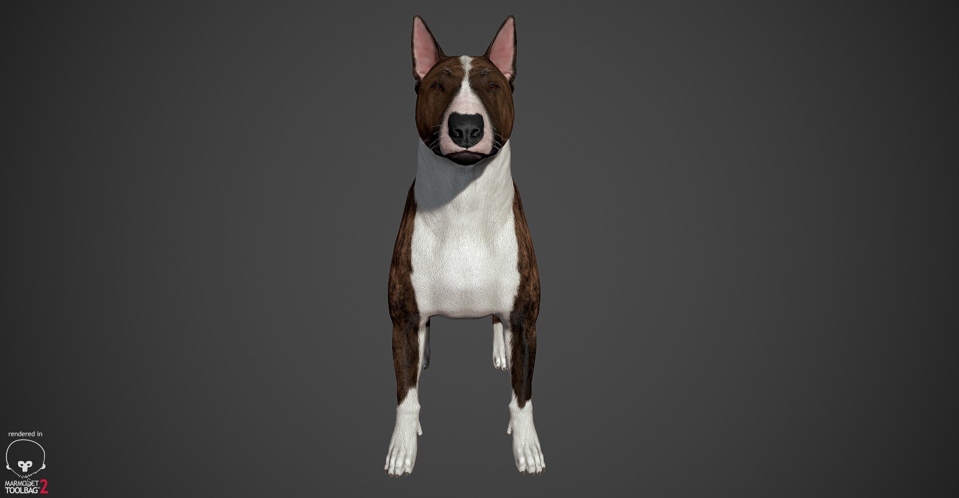bull terrier real-time real time 3d model https://p.turbosquid.com/ts-thumb/Wd/3Yk1oB/lkrjpXzK/bullterrier_marmoset_023/jpg/1470401185/1920x1080/fit_q87/5f731d19ed5e6226ec1ba4eab647ce03b0832015/bullterrier_marmoset_023.jpg