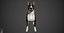 Bull Terrier Real-Time
