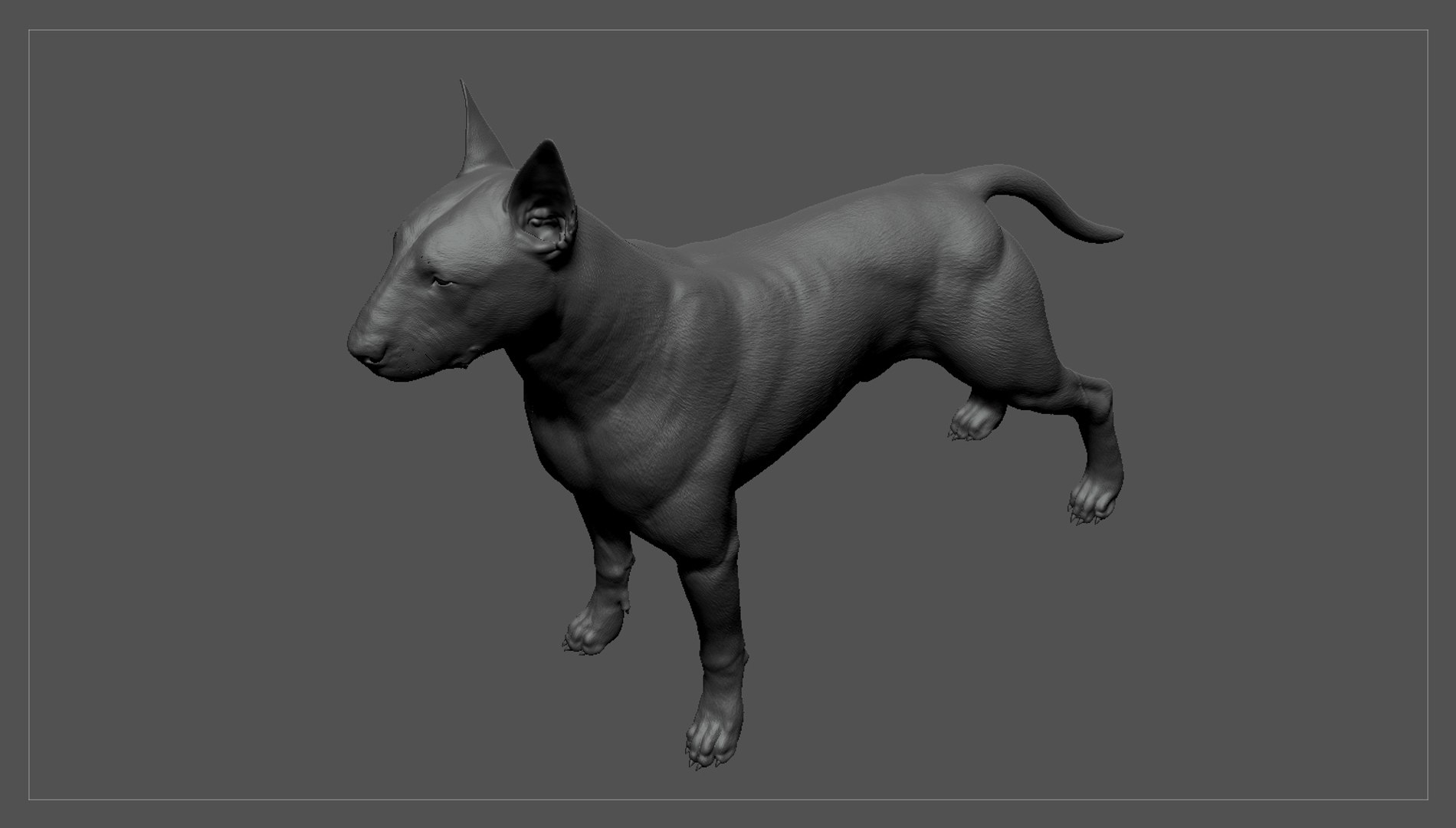 bull terrier real-time real time 3d model https://p.turbosquid.com/ts-thumb/Wd/3Yk1oB/lwZ0RURZ/bullterrier_zbrush_03/jpg/1470401579/1920x1080/fit_q87/31955cbbcd3f127d21cbf65e092dcb2e5b0ffd27/bullterrier_zbrush_03.jpg