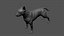 Bull Terrier Real-Time