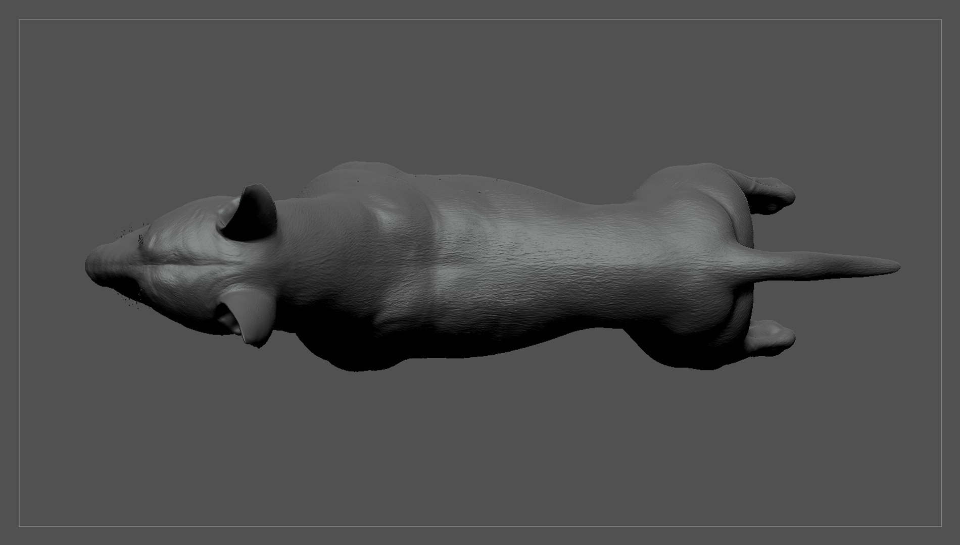 bull terrier real-time real time 3d model https://p.turbosquid.com/ts-thumb/Wd/3Yk1oB/nHRKtmAj/bullterrier_zbrush_04/jpg/1470401579/1920x1080/fit_q87/698cabe022148bdde7da7076bd4687db28260ff8/bullterrier_zbrush_04.jpg