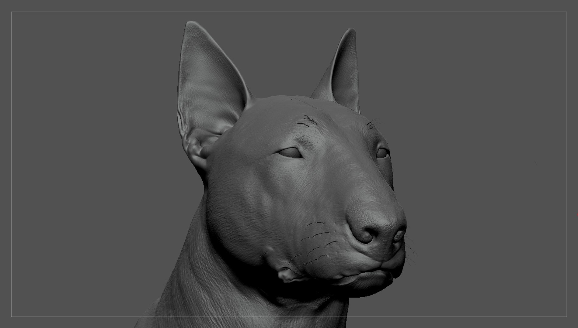 bull terrier real-time real time 3d model https://p.turbosquid.com/ts-thumb/Wd/3Yk1oB/p1MSH68H/bullterrier_zbrush_06/jpg/1470401579/1920x1080/fit_q87/ed4dbb30b91ed34278c7c8b078d2bb94c3fe2dd5/bullterrier_zbrush_06.jpg