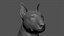 Bull Terrier Real-Time