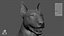 Bull Terrier Real-Time