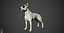 Bull Terrier Real-Time