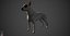 Bull Terrier Real-Time