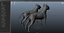 Bull Terrier Real-Time