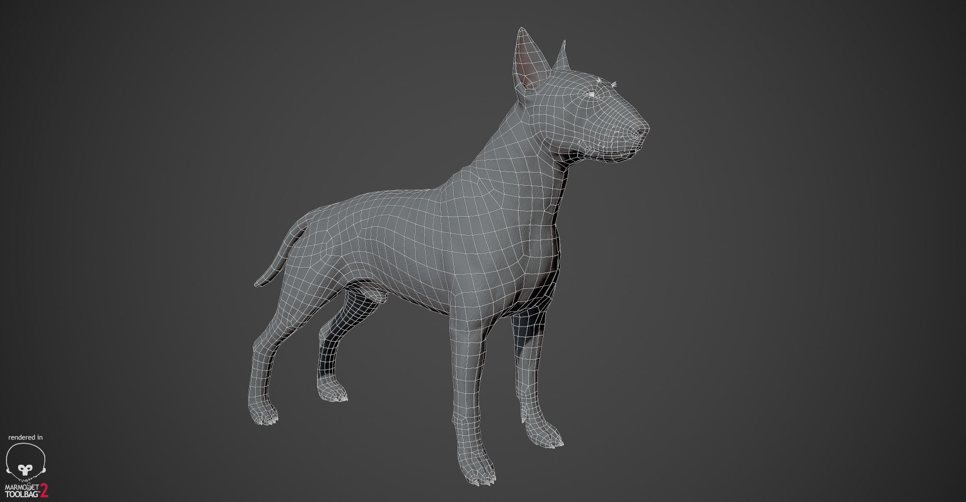 bull terrier real-time real time 3d model https://p.turbosquid.com/ts-thumb/Wd/3Yk1oB/xNSVIKBz/bullterrier_wireframe_01/jpg/1470401552/1920x1080/fit_q87/b0223db32419f012a66be317e3d34d21ef458e95/bullterrier_wireframe_01.jpg