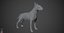 Bull Terrier Real-Time
