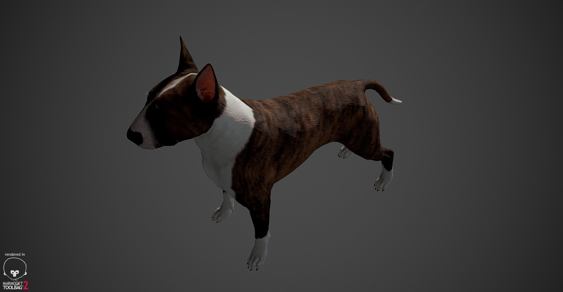 bull terrier real-time real time 3d model https://p.turbosquid.com/ts-thumb/Wd/3Yk1oB/zzVIyB9s/bullterrier_marmoset_022/jpg/1470401185/1920x1080/fit_q87/8463c1b50b752004028271b87ff711330caf67dc/bullterrier_marmoset_022.jpg