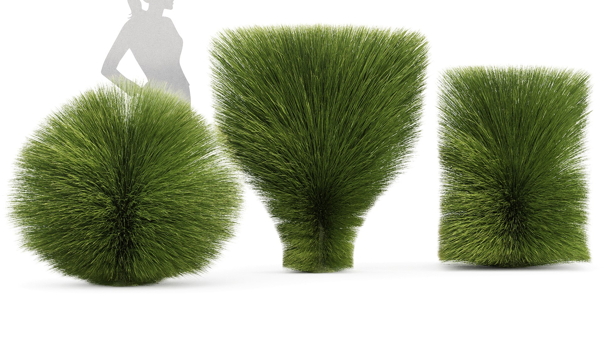 3D model Maiden Grass Miscanthus sinensis Gracillimus Tuin Grassen https://p.turbosquid.com/ts-thumb/Wd/A6mNeO/Gi/z04/png/1719403500/1920x1080/fit_q87/c78a9812efa6949cc848144b780c4fb18e60e5ad/z04.jpg