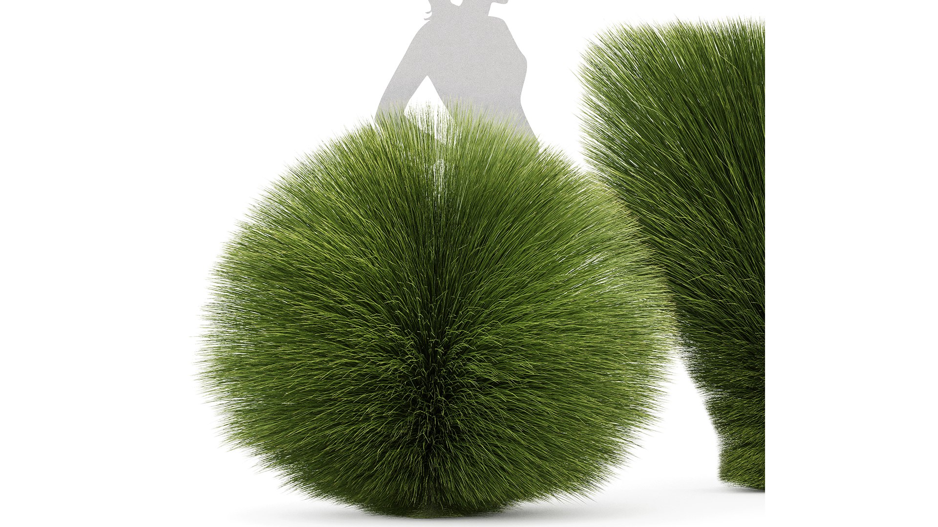 3D model Maiden Grass Miscanthus sinensis Gracillimus Tuin Grassen https://p.turbosquid.com/ts-thumb/Wd/A6mNeO/Xg/z01/png/1719403486/1920x1080/fit_q87/df64a7270b5e5c14743b3c64a04b535e83e07657/z01.jpg