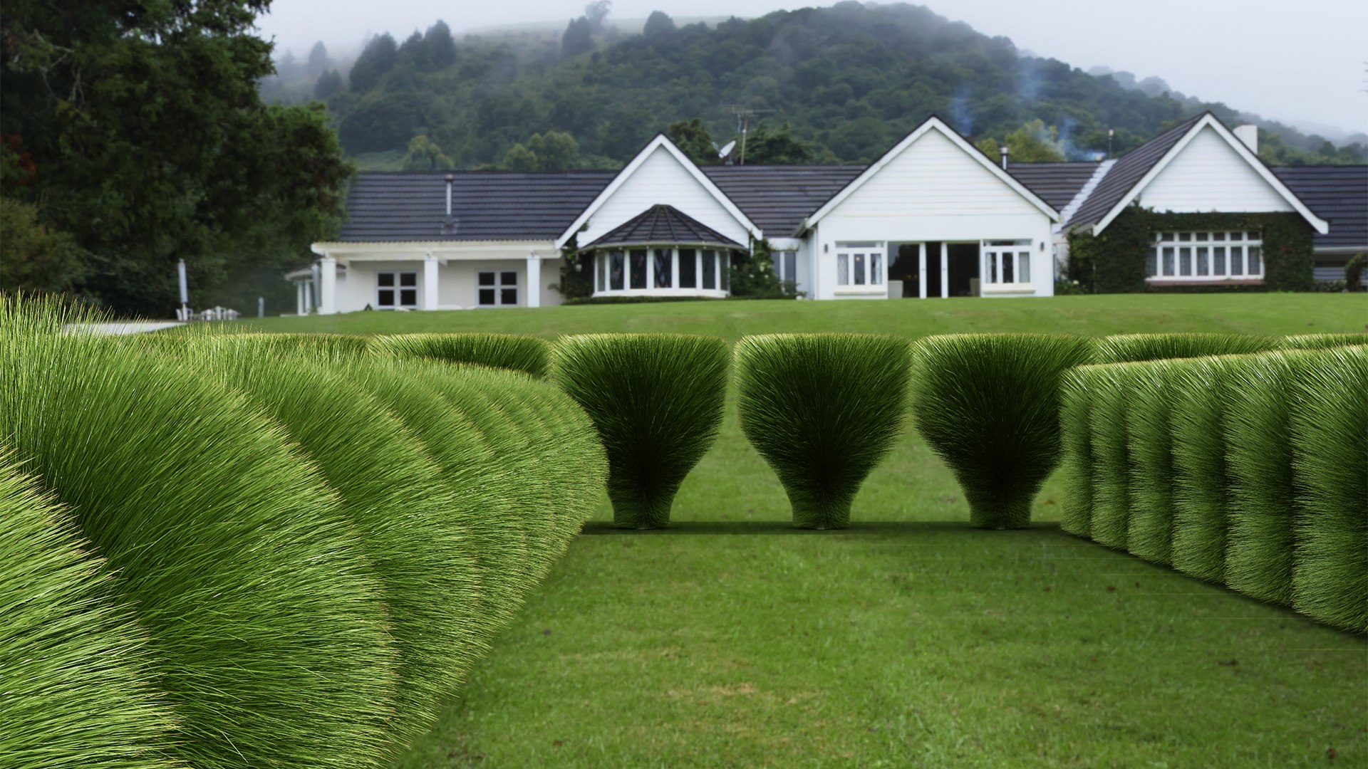 3D model Maiden Grass Miscanthus sinensis Gracillimus Tuin Grassen https://p.turbosquid.com/ts-thumb/Wd/A6mNeO/x2/z05/png/1719403506/1920x1080/fit_q87/d6598cb02d0cb91bbff006aa8c0e04b4fccf3c94/z05.jpg