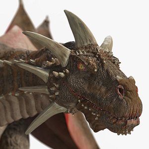 Dragon Brown Rigged
