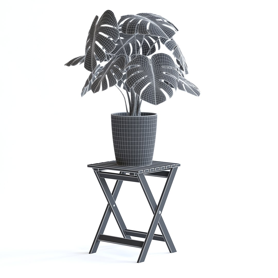 Monstera Plant 3D model https://p.turbosquid.com/ts-thumb/Wd/HxeviX/Sx/monstera_plant_1bcopy/jpg/1644864087/1920x1080/fit_q87/3c212ba3a3a8c2c495373470340baadf0f706258/monstera_plant_1bcopy.jpg