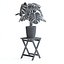 Planta Monstera