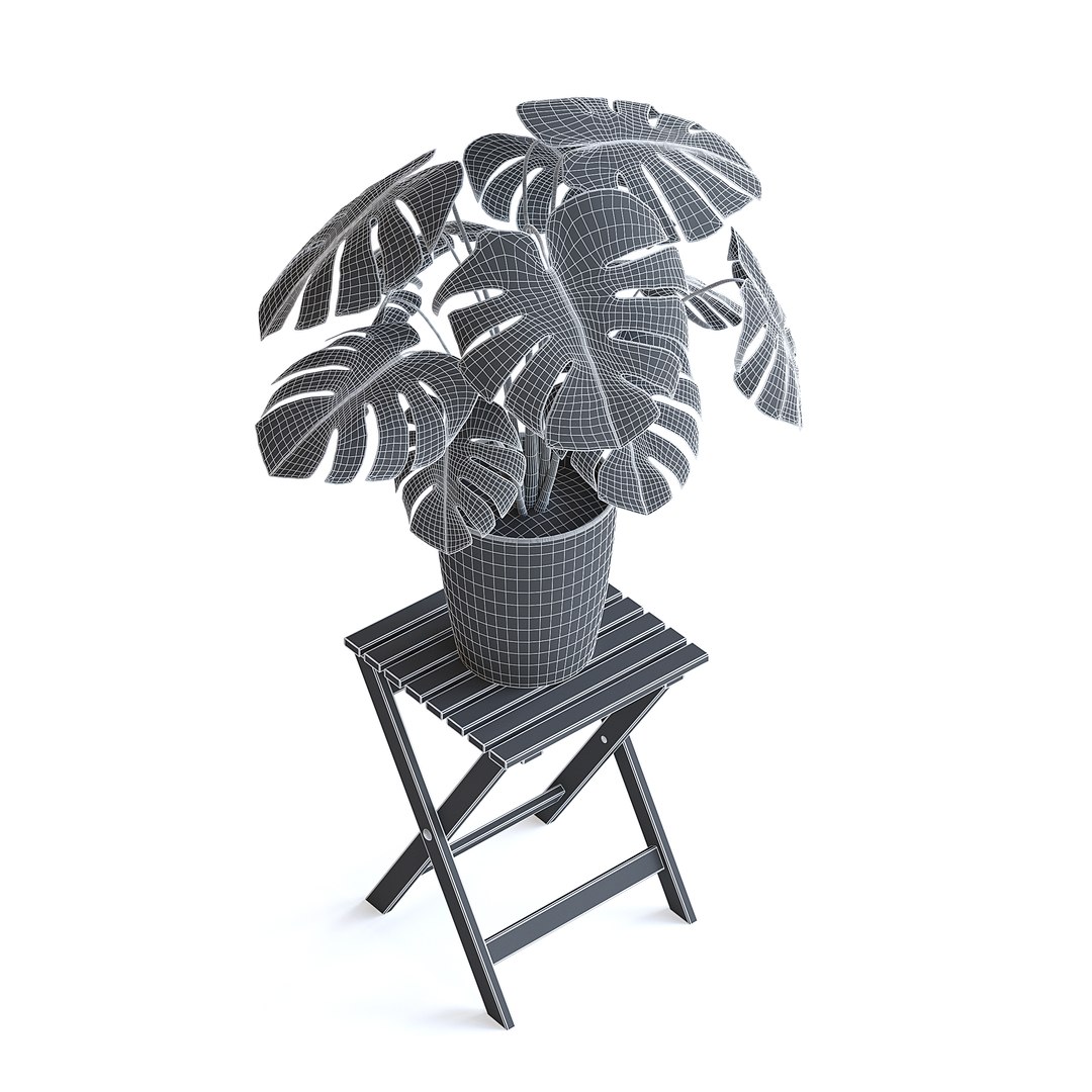Monstera Plant 3D model https://p.turbosquid.com/ts-thumb/Wd/HxeviX/YM/monstera_plant_3bcopy/jpg/1644864094/1920x1080/fit_q87/45e6788f7fe786eab062fb5605068deb561d8670/monstera_plant_3bcopy.jpg