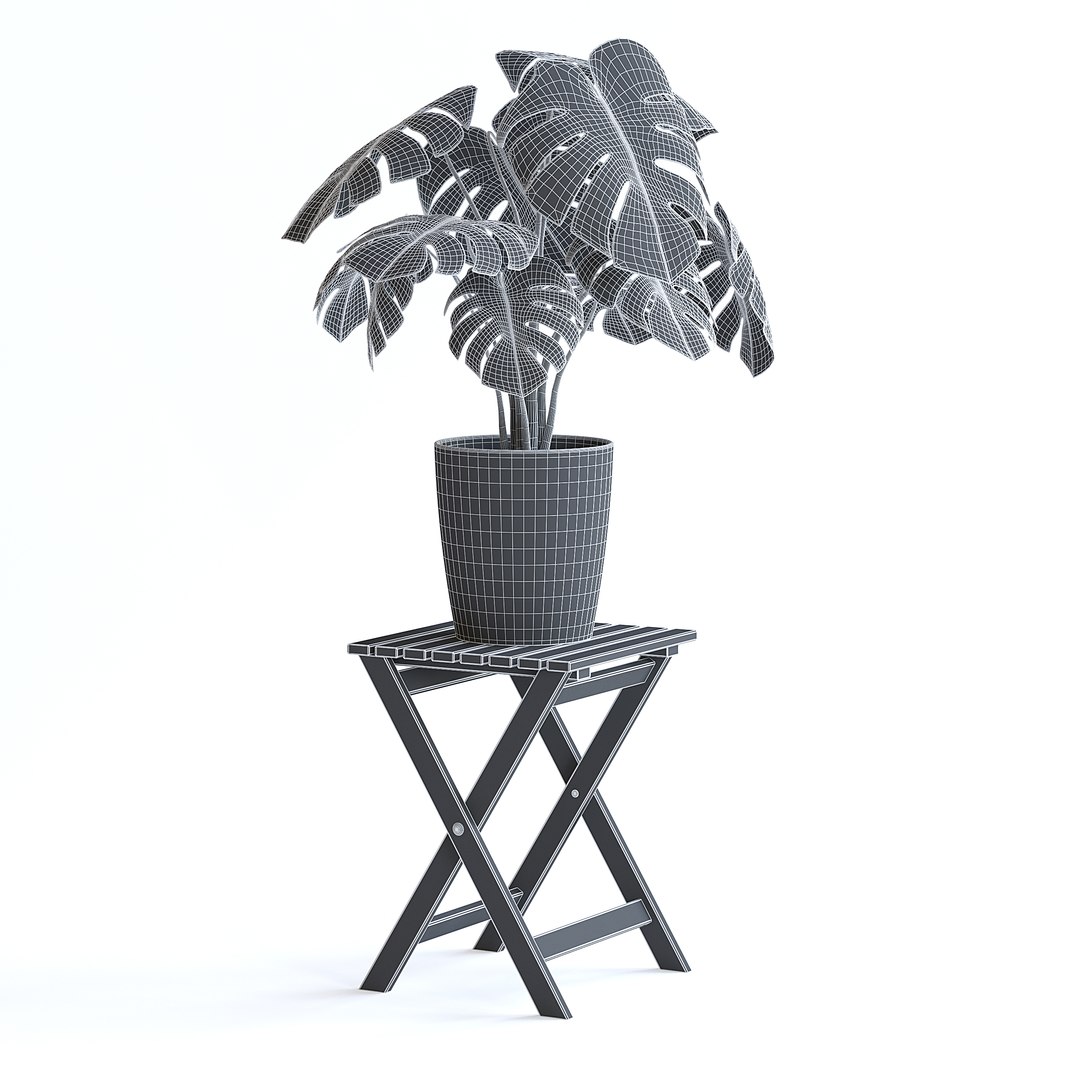 Monstera Plant 3D model https://p.turbosquid.com/ts-thumb/Wd/HxeviX/ms/monstera_plant_2bcopy/jpg/1644864088/1920x1080/fit_q87/27c4a14c1669cd316d1344a03a68b6faa65c8f00/monstera_plant_2bcopy.jpg