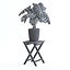 Planta Monstera