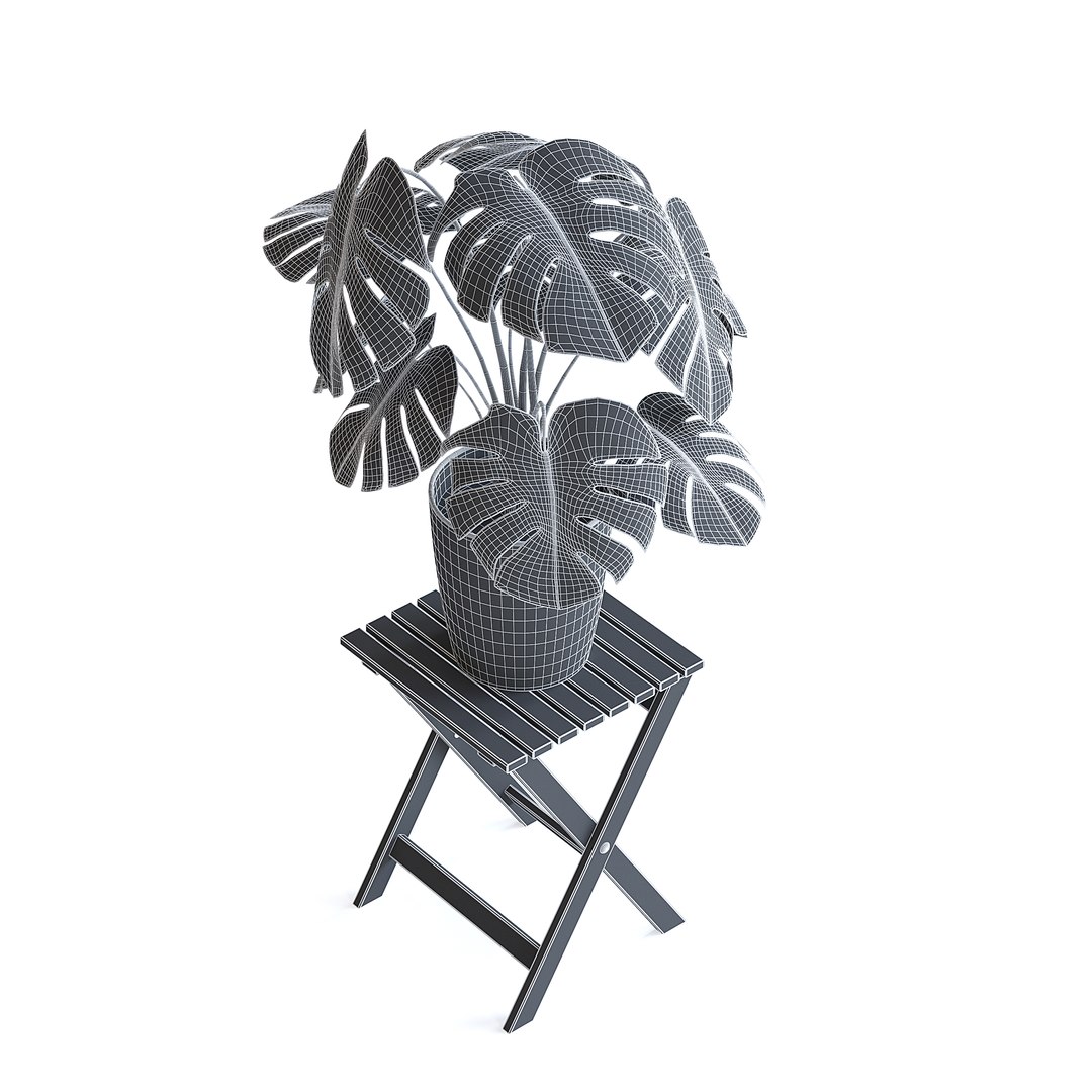 Monstera Plant 3D model https://p.turbosquid.com/ts-thumb/Wd/HxeviX/xw/monstera_plant_4bcopy/jpg/1644864084/1920x1080/fit_q87/8b452c0fd378267c581bd743b5f59c5be9d0fdf7/monstera_plant_4bcopy.jpg