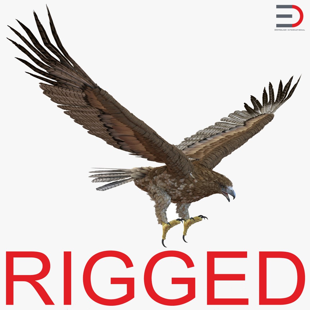 Gurney Eagle Rigged 3D model preview