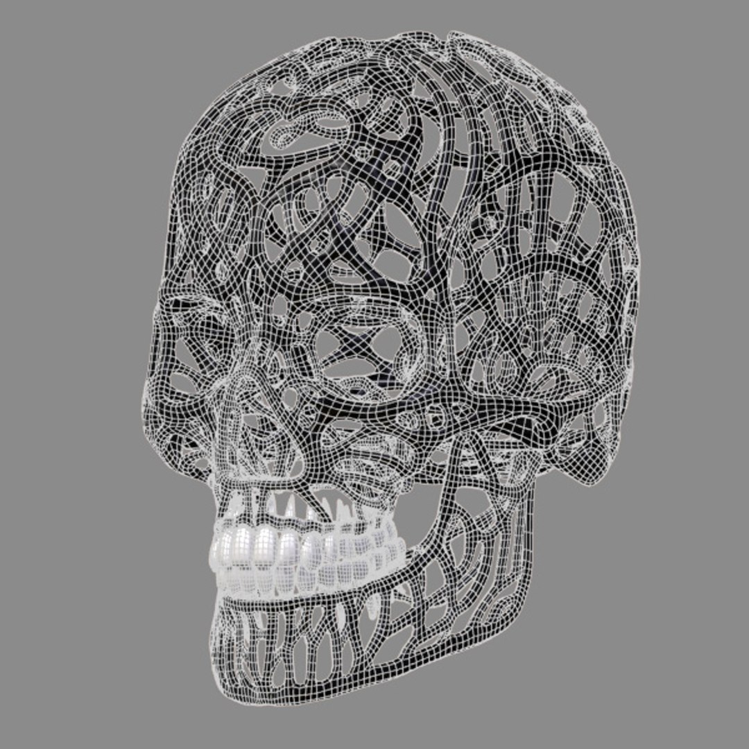 Lwo Hu Skull
